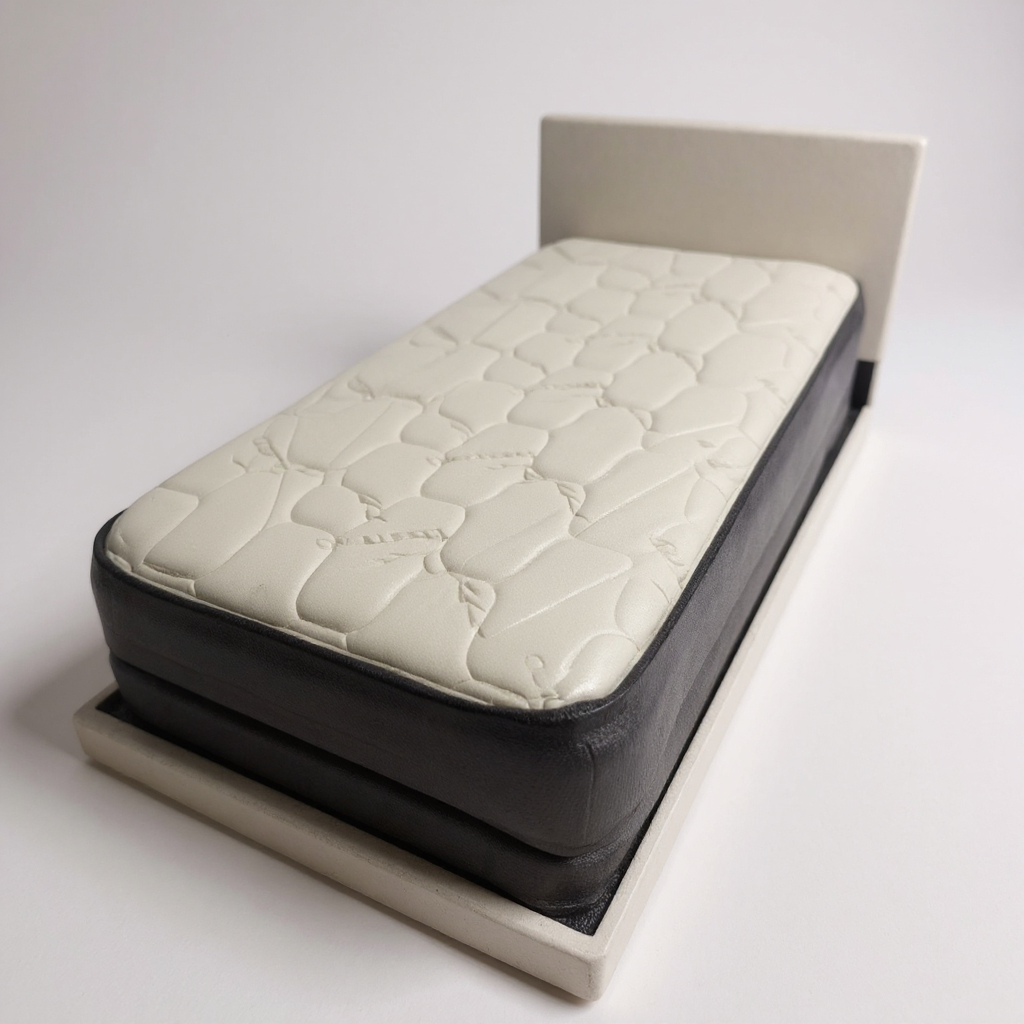 Twin Size Pillowtop Mattress and Box Spring